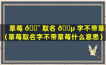 草莓 🐯 取名 🐵 字不带草莓（草莓取名字不带草莓什么意思）